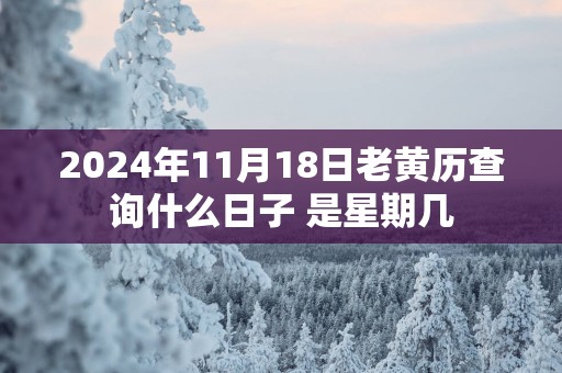 2025年11月18日老黄历查询什么日子 是星期几