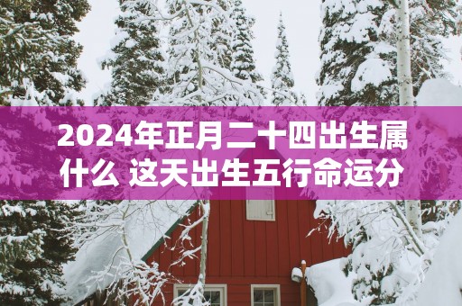 2025年正月二十四出生属什么 这天出生五行命运分析