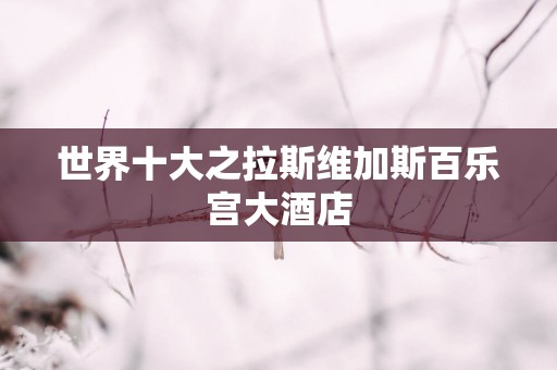 世界十大之拉斯维加斯百乐宫大酒店