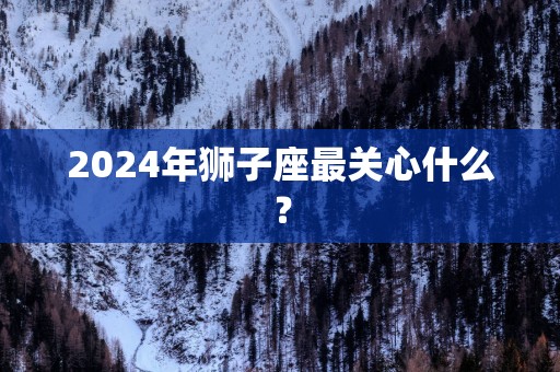 2025年狮子座最关心什么？