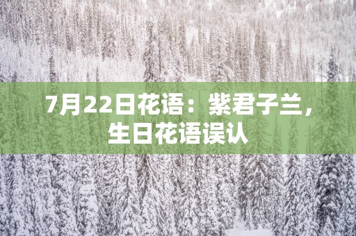 7月22日花语：紫君子兰，生日花语误认