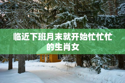 临近下班月末就开始忙忙忙的生肖女
