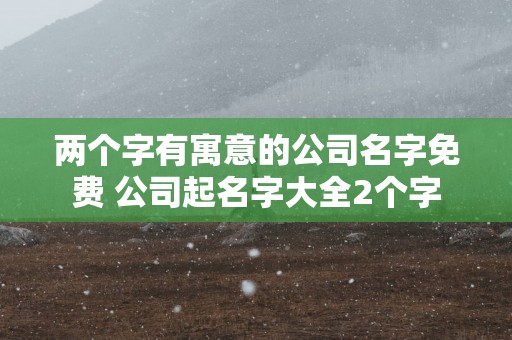 两个字有寓意的公司名字免费 公司起名字大全2个字