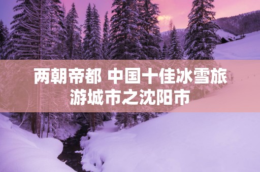 两朝帝都 中国十佳冰雪旅游城市之沈阳市