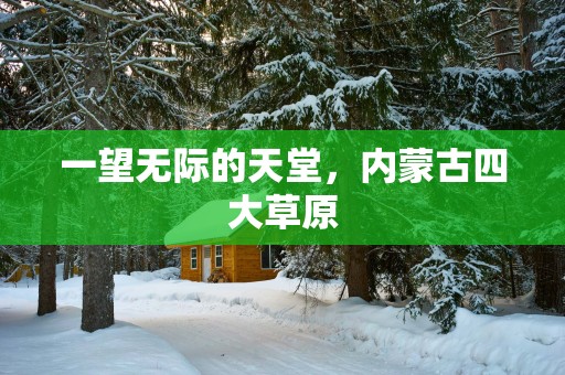 一望无际的天堂，内蒙古四大草原