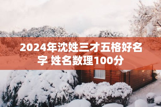 2025年沈姓三才五格好名字 姓名数理100分