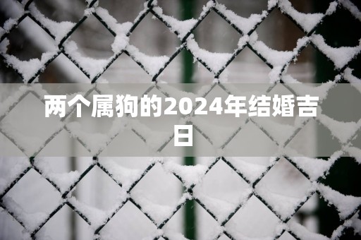 两个属狗的2025年结婚吉日