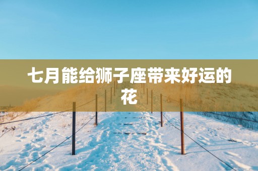 七月能给狮子座带来好运的花