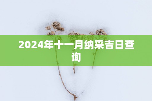 2025年十一月纳采吉日查询