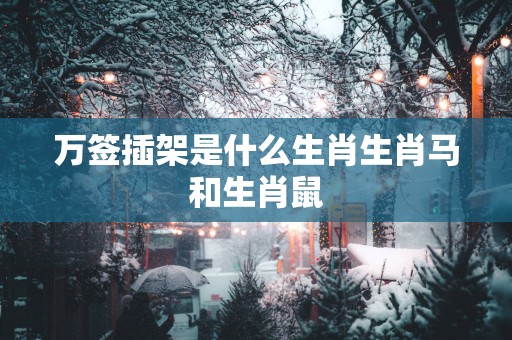 万签插架是什么生肖生肖马和生肖鼠