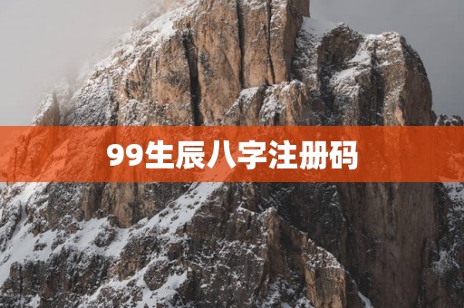 99生辰八字注册码
