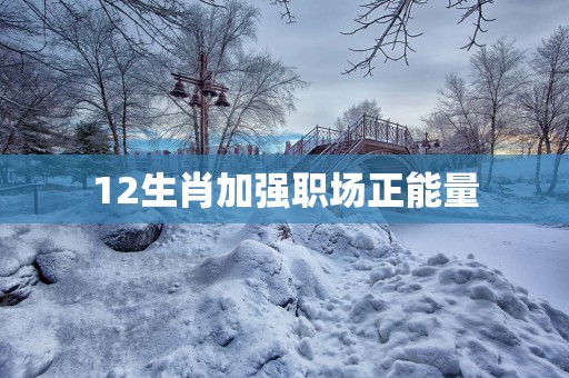 12生肖加强职场正能量