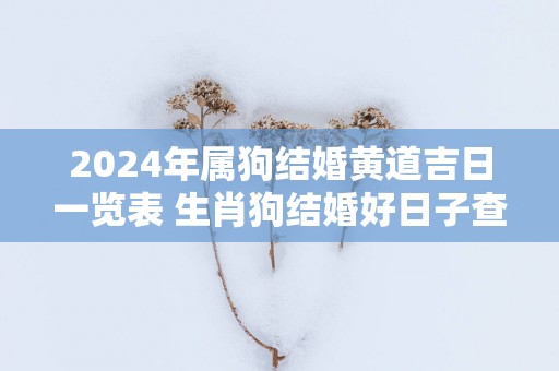 2025年属狗结婚黄道吉日一览表 生肖狗结婚好日子查询