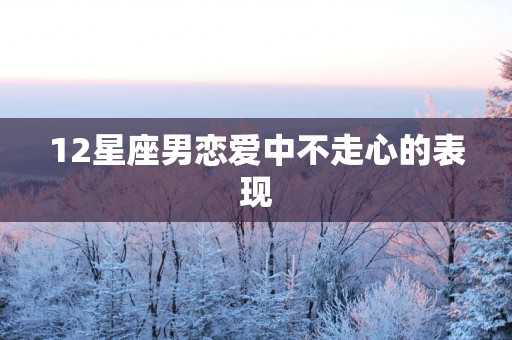 12星座男恋爱中不走心的表现