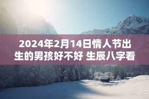 2025年2月14日情人节出生的男孩好不好 生辰八字看命
