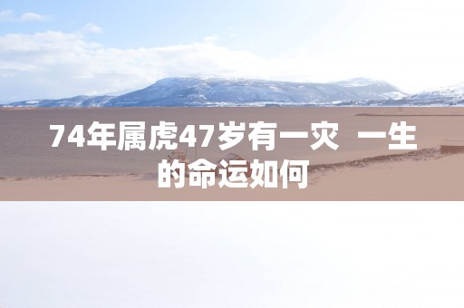 74年属虎47岁有一灾  一生的命运如何