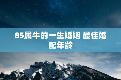 85属牛的一生婚姻 最佳婚配年龄