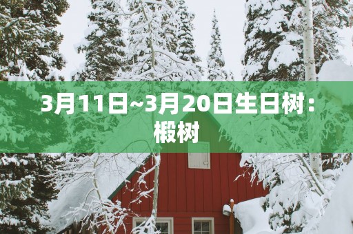 3月11日~3月20日生日树：椴树