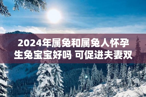 2025年属兔和属兔人怀孕生兔宝宝好吗 可促进夫妻双方的情感