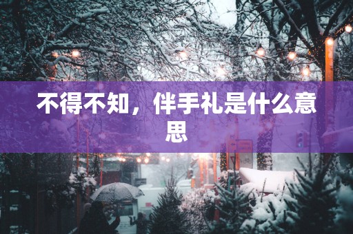 不得不知，伴手礼是什么意思