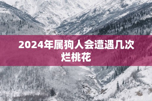 2025年属狗人会遭遇几次烂桃花