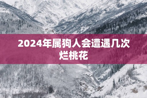 2024年属狗人会遭遇几次烂桃花