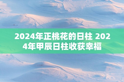 2024年正桃花的日柱 2024年甲辰日柱收获幸福