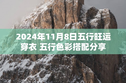 2025年11月8日五行旺运穿衣 五行色彩搭配分享