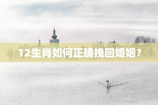 12生肖如何正确挽回婚姻？