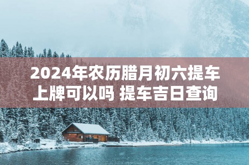 2025年农历腊月初六提车上牌可以吗 提车吉日查询