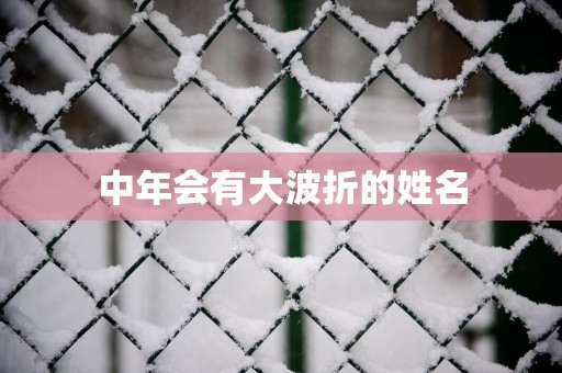 中年会有大波折的姓名