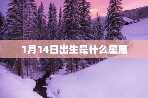 1月14日出生是什么星座
