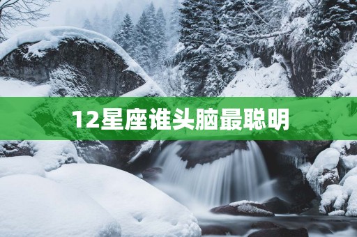 12星座谁头脑最聪明