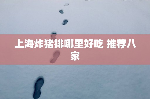上海炸猪排哪里好吃 推荐八家
