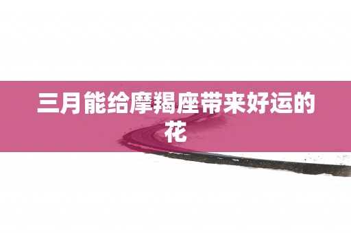 三月能给摩羯座带来好运的花
