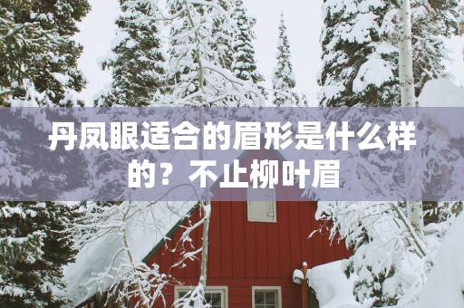 丹凤眼适合的眉形是什么样的？不止柳叶眉