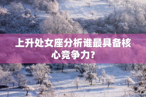 上升处女座分析谁最具备核心竞争力？