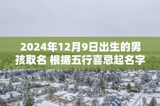 2025年12月9日出生的男孩取名 根据五行喜忌起名字