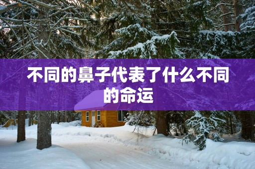 不同的鼻子代表了什么不同的命运
