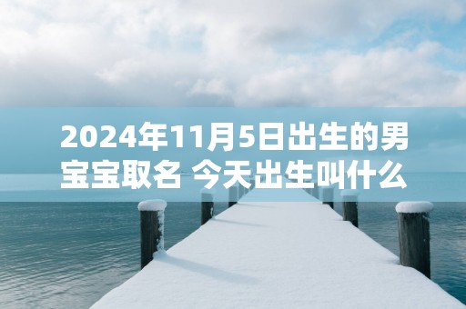 2025年11月5日出生的男宝宝取名 今天出生叫什么名字好