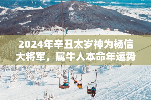 2025年辛丑太岁神为杨信大将军，属牛人本命年运势运程