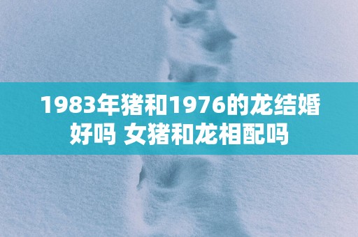 1983年猪和1976的龙结婚好吗 女猪和龙相配吗