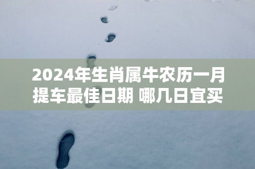 2025年生肖属牛农历一月提车最佳日期 哪几日宜买车