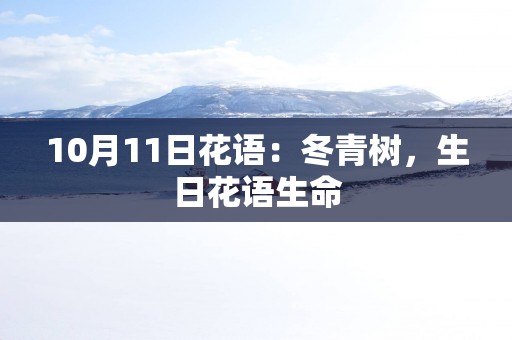 10月11日花语：冬青树，生日花语生命