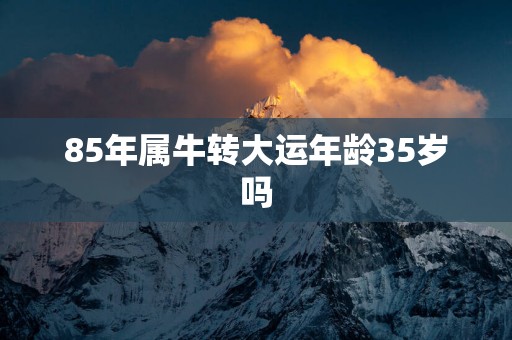 85年属牛转大运年龄35岁吗
