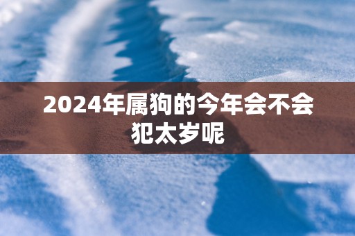 2025年属狗的今年会不会犯太岁呢