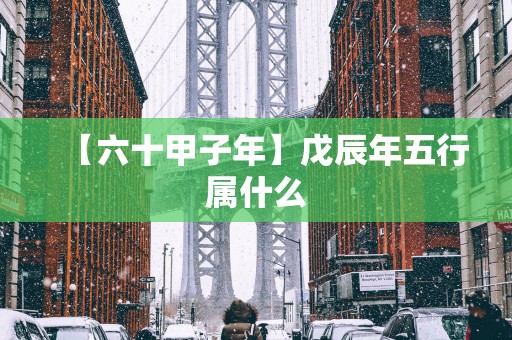 【六十甲子年】戊辰年五行属什么