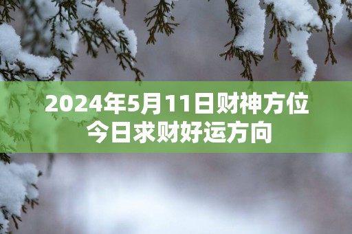 2025年5月11日财神方位 今日求财好运方向