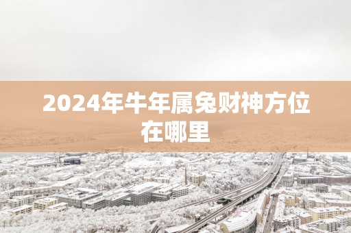 2025年蛇年属兔财神方位在哪里