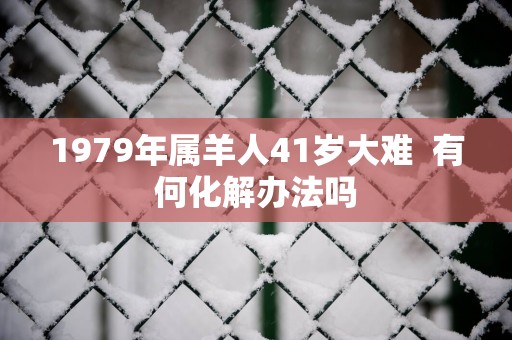 1979年属羊人41岁大难  有何化解办法吗